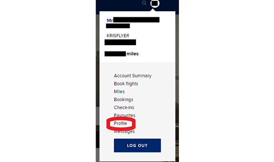 airline-miles-1.png